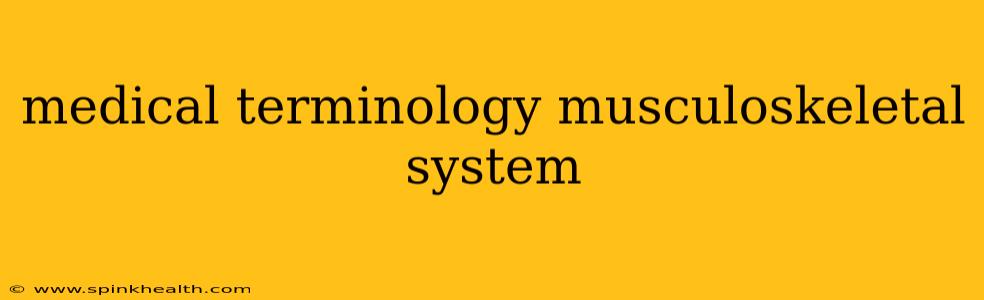 medical terminology musculoskeletal system