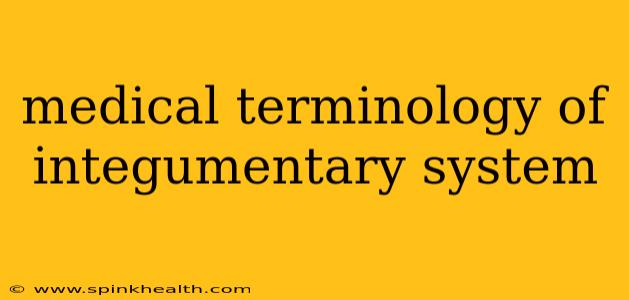 medical terminology of integumentary system