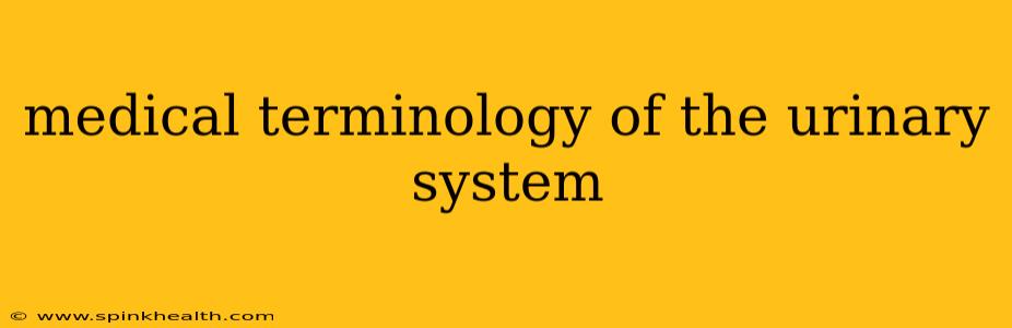 medical terminology of the urinary system