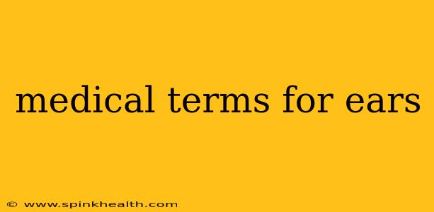 medical terms for ears