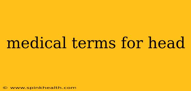 medical terms for head