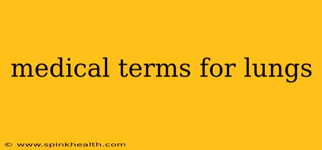 medical terms for lungs