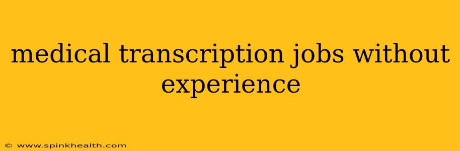 medical transcription jobs without experience