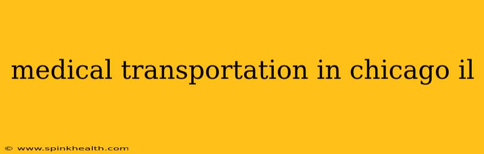 medical transportation in chicago il