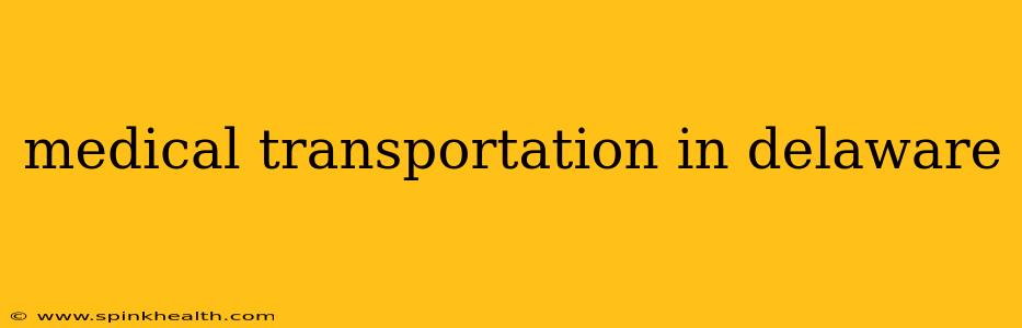 medical transportation in delaware