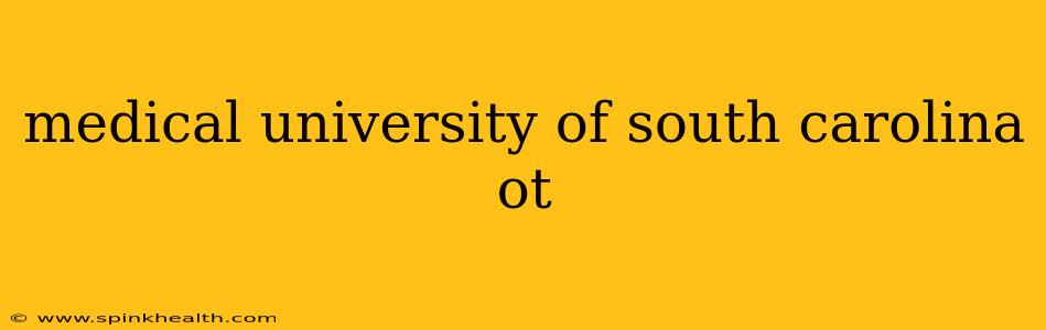 medical university of south carolina ot