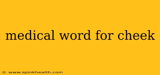 medical word for cheek