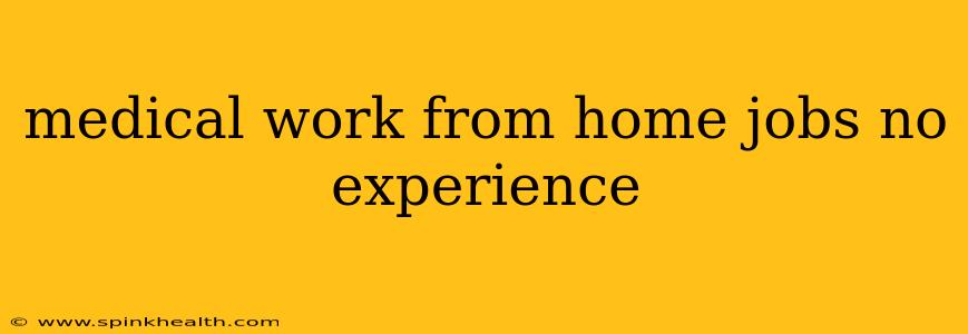 medical work from home jobs no experience