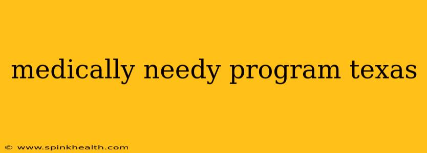 medically needy program texas