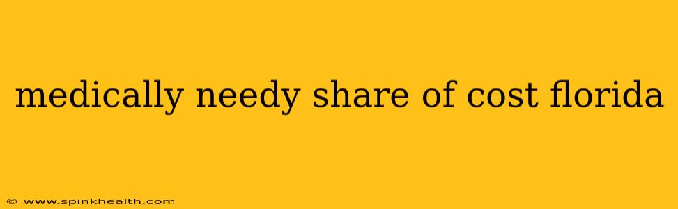 medically needy share of cost florida