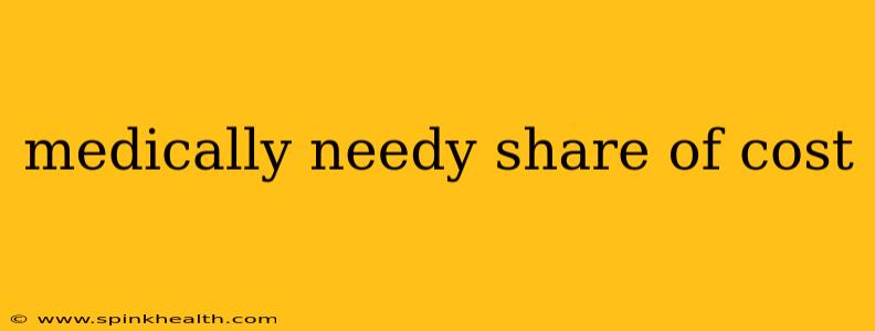 medically needy share of cost