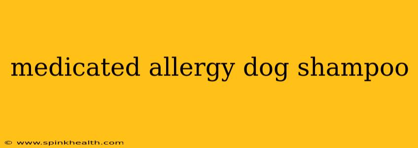 medicated allergy dog shampoo