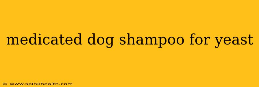 medicated dog shampoo for yeast
