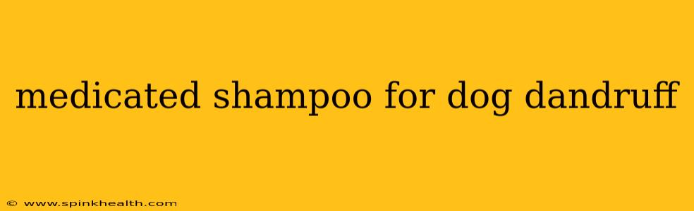 medicated shampoo for dog dandruff