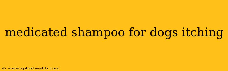 medicated shampoo for dogs itching