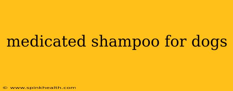 medicated shampoo for dogs
