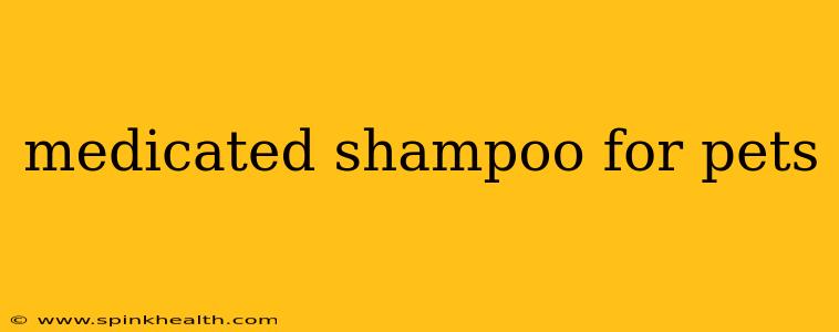 medicated shampoo for pets