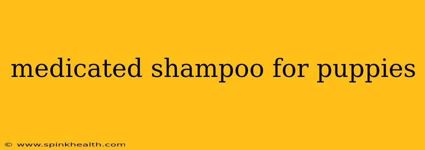 medicated shampoo for puppies