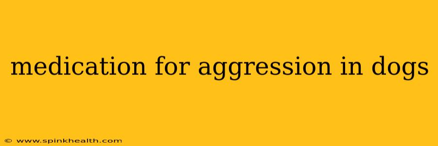 medication for aggression in dogs