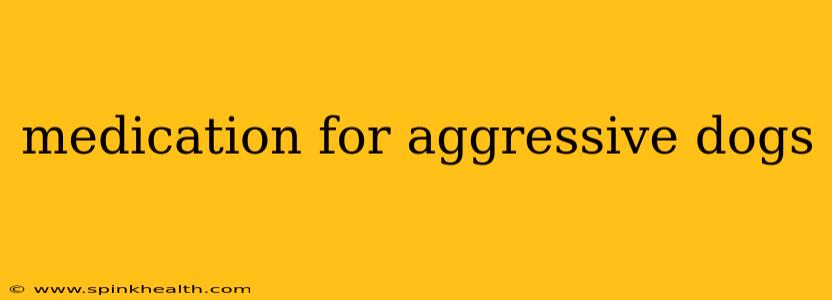 medication for aggressive dogs