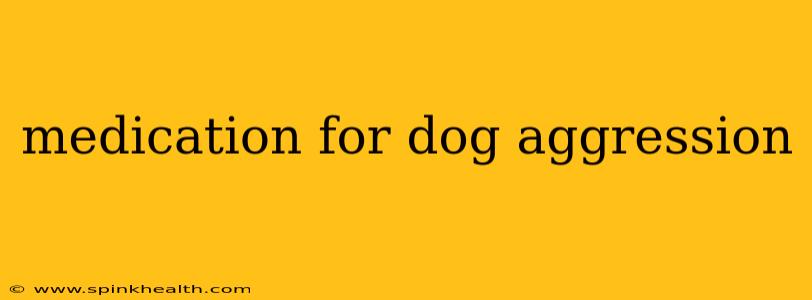 medication for dog aggression