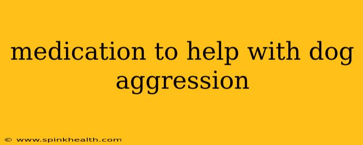 medication to help with dog aggression
