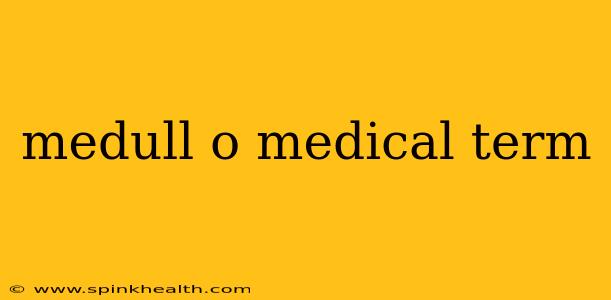 medull o medical term