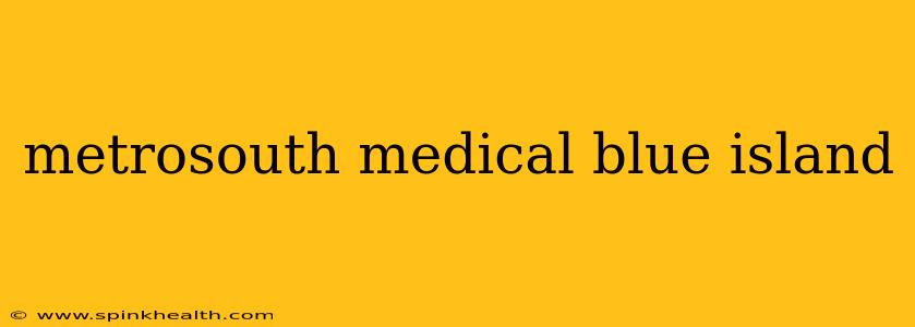 metrosouth medical blue island