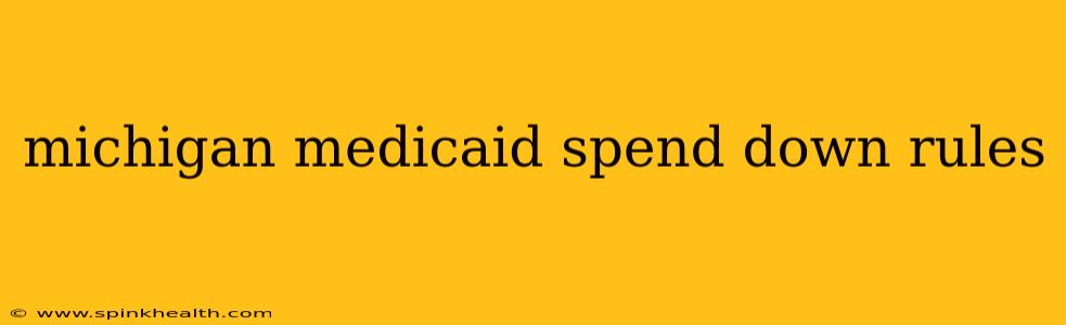 michigan medicaid spend down rules