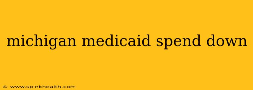 michigan medicaid spend down