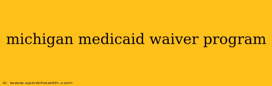michigan medicaid waiver program