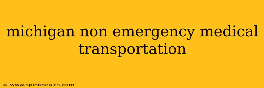 michigan non emergency medical transportation