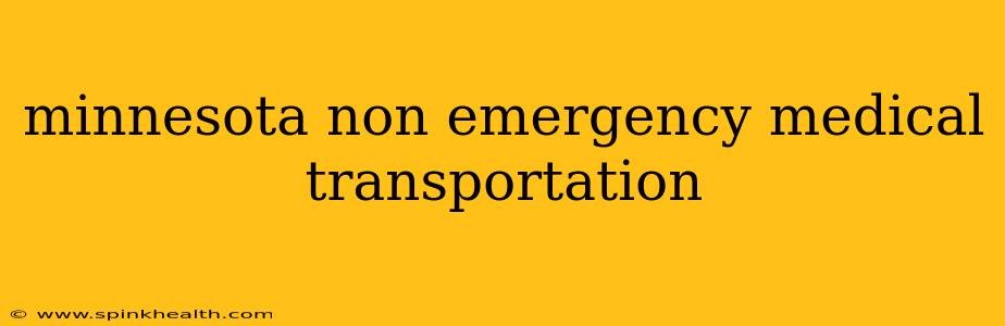 minnesota non emergency medical transportation