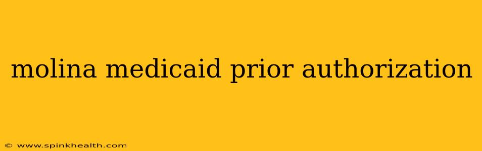 molina medicaid prior authorization