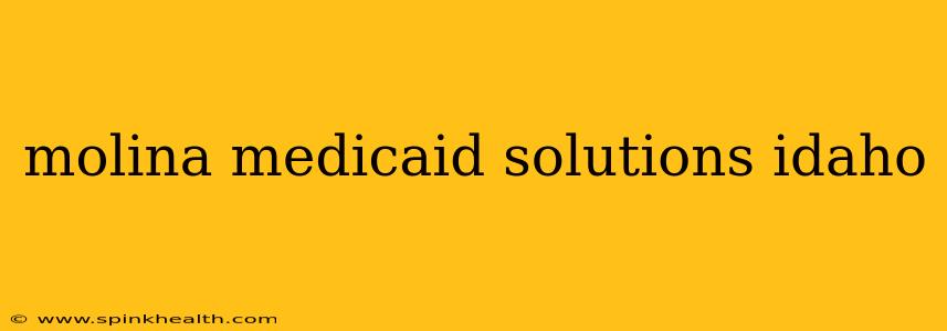 molina medicaid solutions idaho