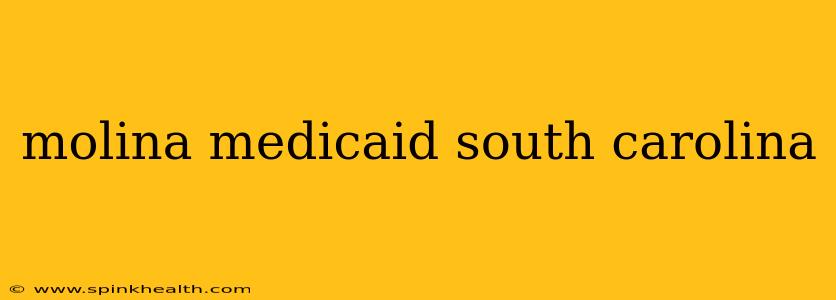 molina medicaid south carolina