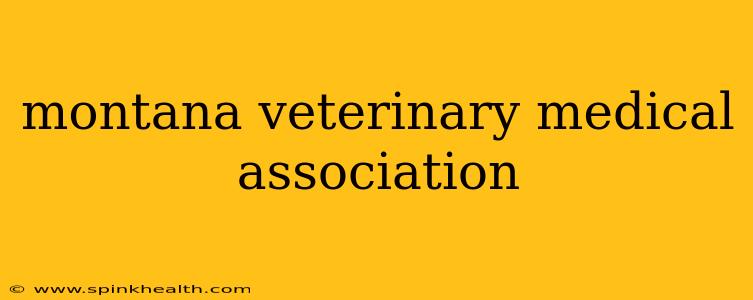 montana veterinary medical association
