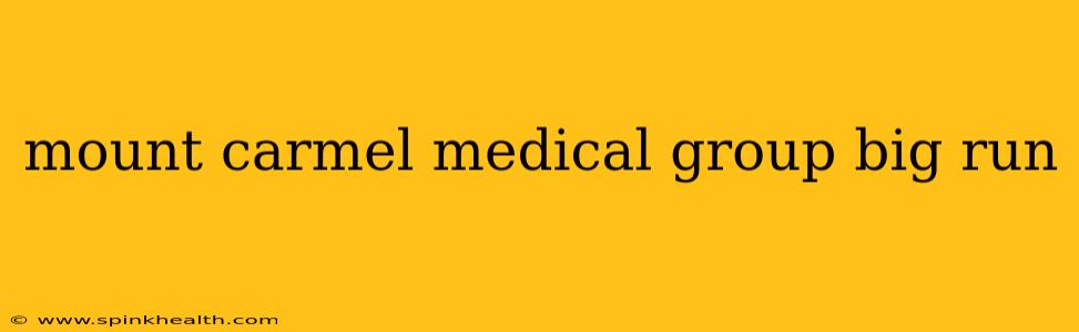 mount carmel medical group big run