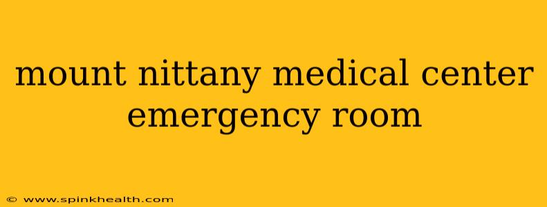 mount nittany medical center emergency room