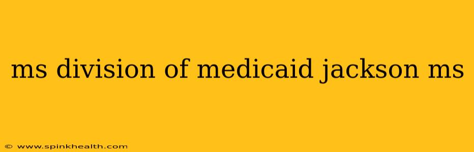 ms division of medicaid jackson ms