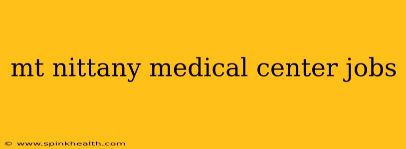 mt nittany medical center jobs