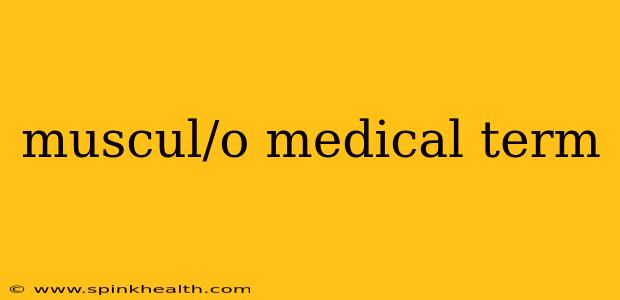 muscul/o medical term