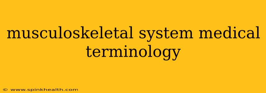 musculoskeletal system medical terminology