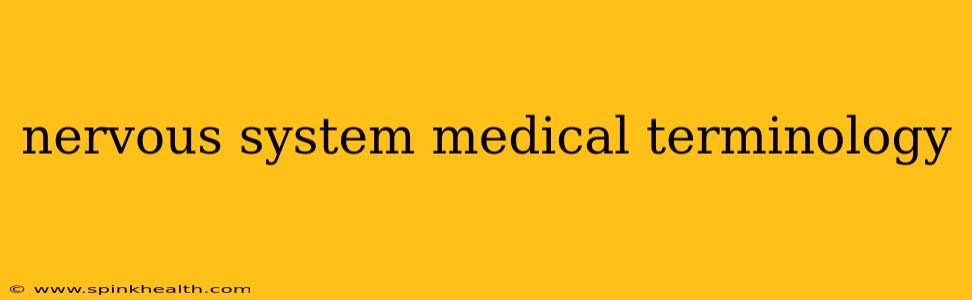 nervous system medical terminology