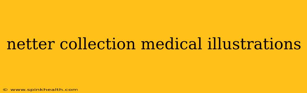 netter collection medical illustrations