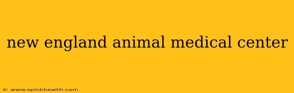 new england animal medical center