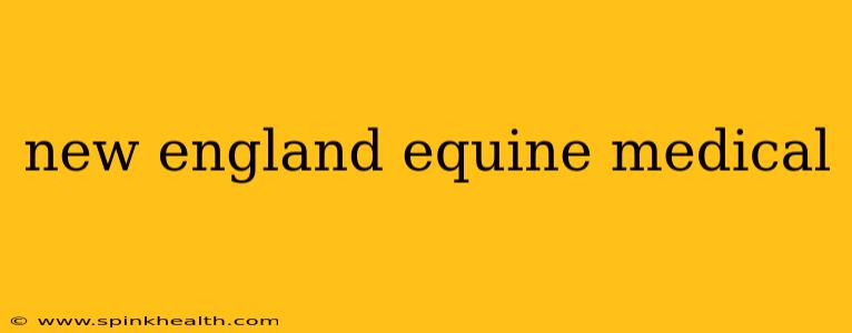 new england equine medical