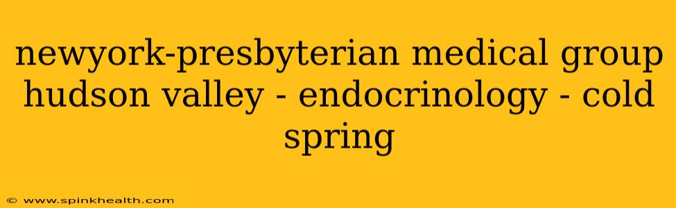 newyork-presbyterian medical group hudson valley - endocrinology - cold spring