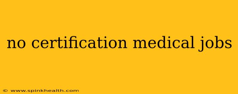no certification medical jobs