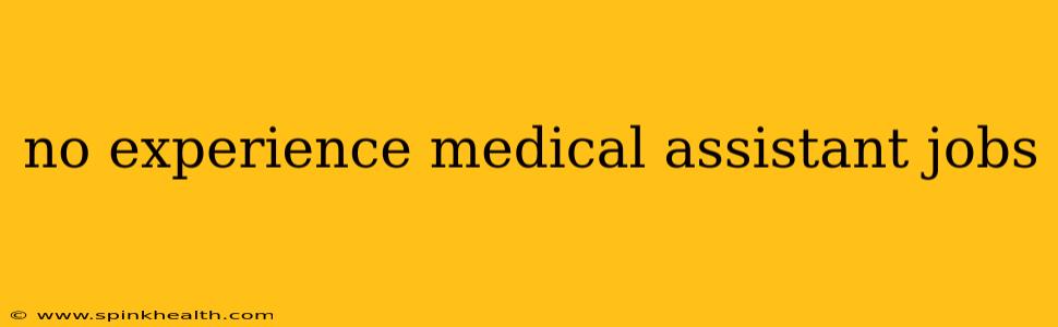 no experience medical assistant jobs
